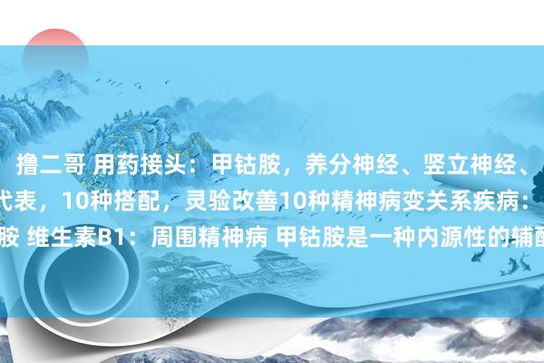 撸二哥 用药接头：甲钴胺，养分神经、竖立神经、促进神经传导的典型代表，10种搭配，灵验改善10种精神病变关系疾病：1、甲钴胺 维生素B1：周围精神病 甲钴胺是一种内源性的辅酶B12，参与一碳单元轮回，在...