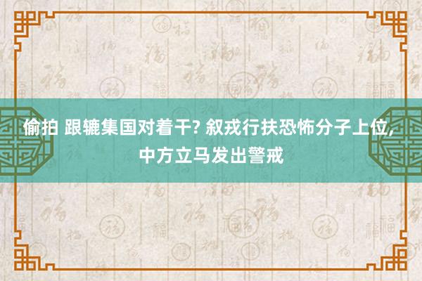 偷拍 跟辘集国对着干? 叙戎行扶恐怖分子上位， 中方立马发出警戒