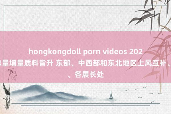 hongkongdoll porn videos 2024年外贸总量增量质料皆升 东部、中西部和东北地区上风互补、各展长处