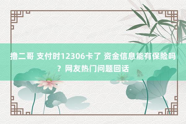 撸二哥 支付时12306卡了 资金信息能有保险吗？网友热门问题回话