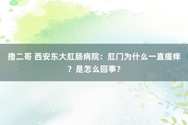 撸二哥 西安东大肛肠病院：肛门为什么一直瘙痒？是怎么回事？